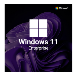 Windows 11 Enterprise Product Key buy cheap price from India