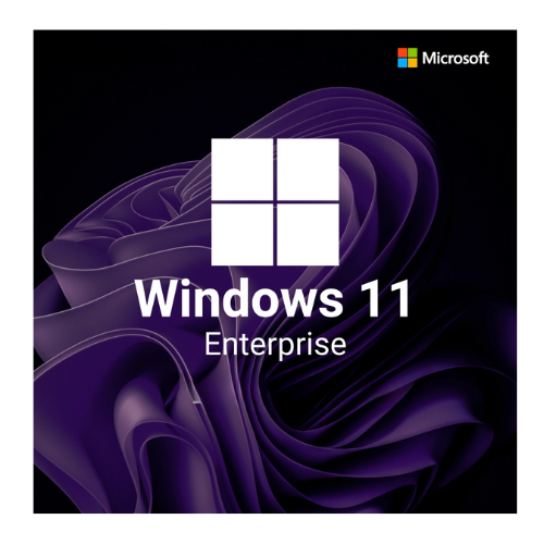 Windows 11 Enterprise Product Key buy cheap price from India