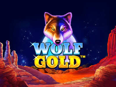 신비한 세계의 Wolf Gold로 떠나는 여행